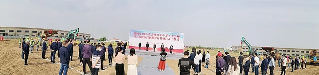 港澳精准资料